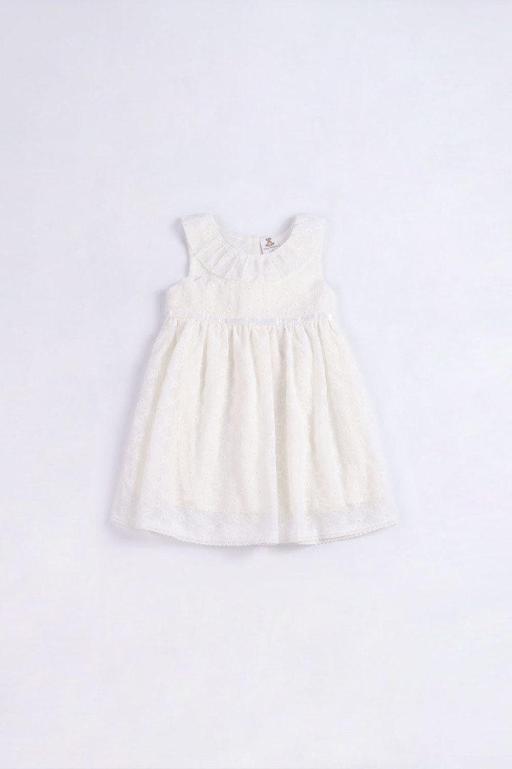 Embroidered Dress